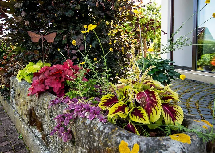 Апартаменты Im 