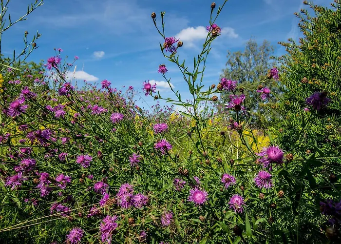 Апартаменты Im 